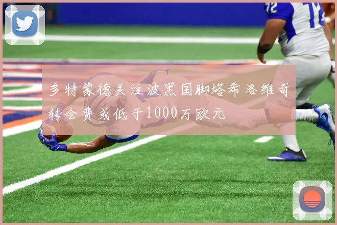 多特蒙德关注波黑国脚塔希洛维奇转会费或低于1000万欧元